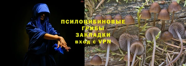 ешки Балахна