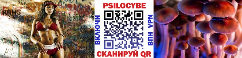 где продают   Свободный  Псилоцибиновые грибы GOLDEN TEACHER 
